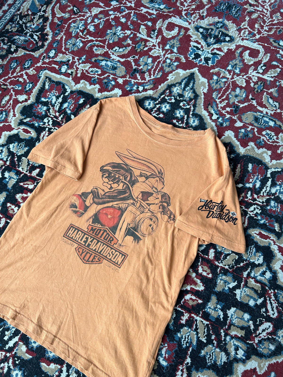 Remera Harley Davidson Vintage