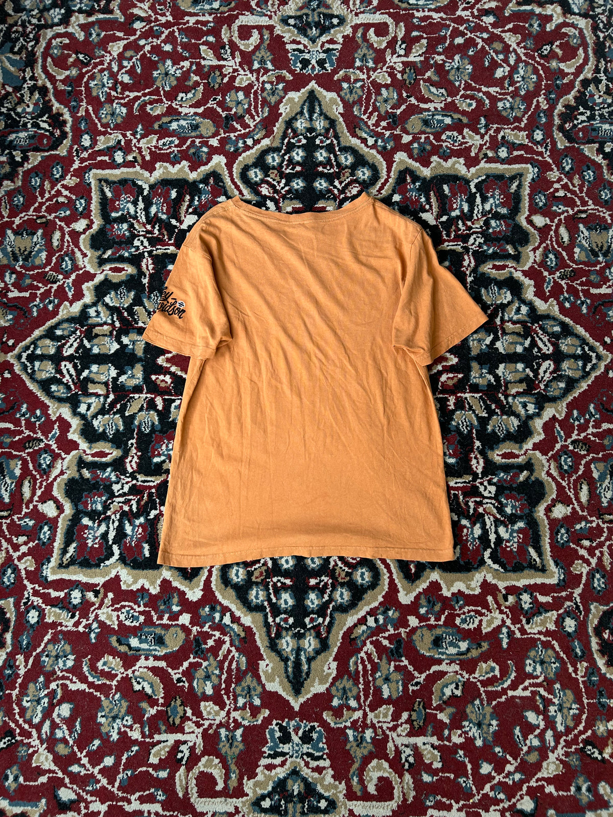 Remera Harley Davidson Vintage