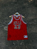 Camiseta Chicago Bulls Champions de Jordan Original