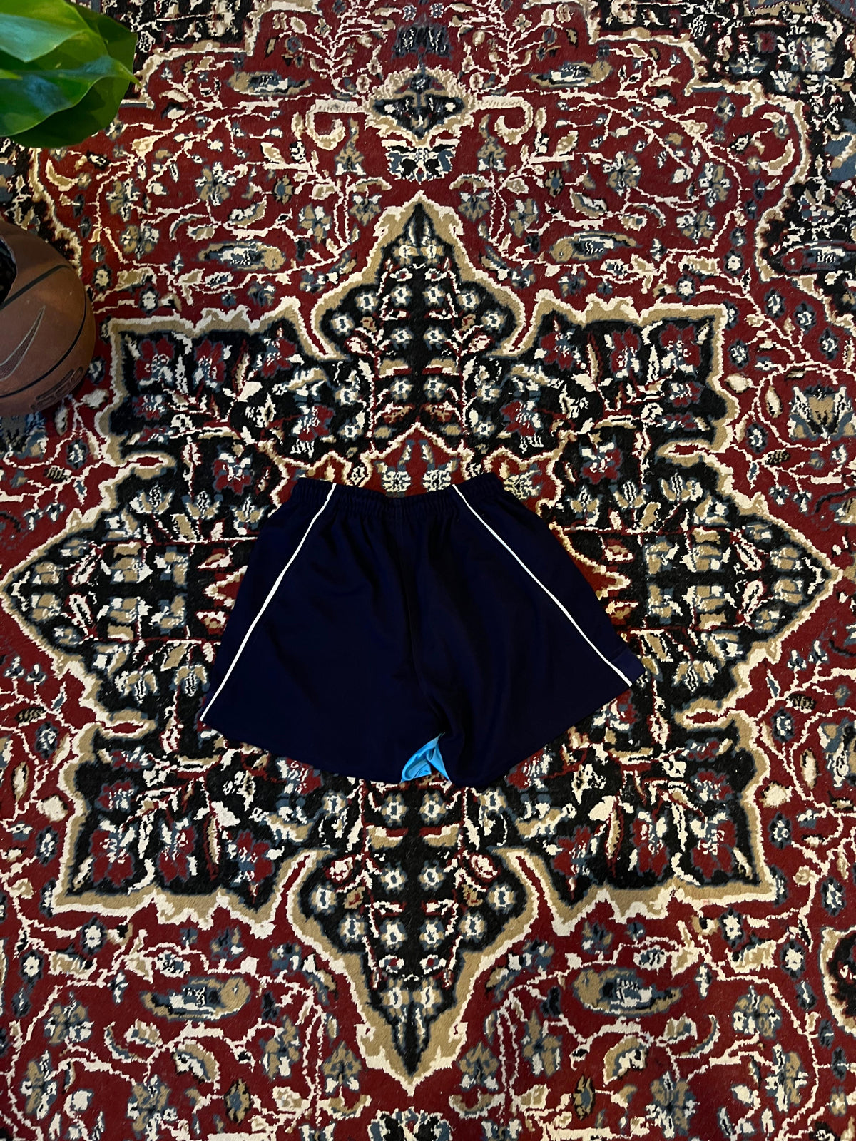 Short Albatros Web Ellis Versión Jugador Original