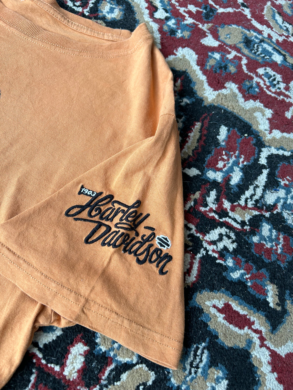 Remera Harley Davidson Vintage