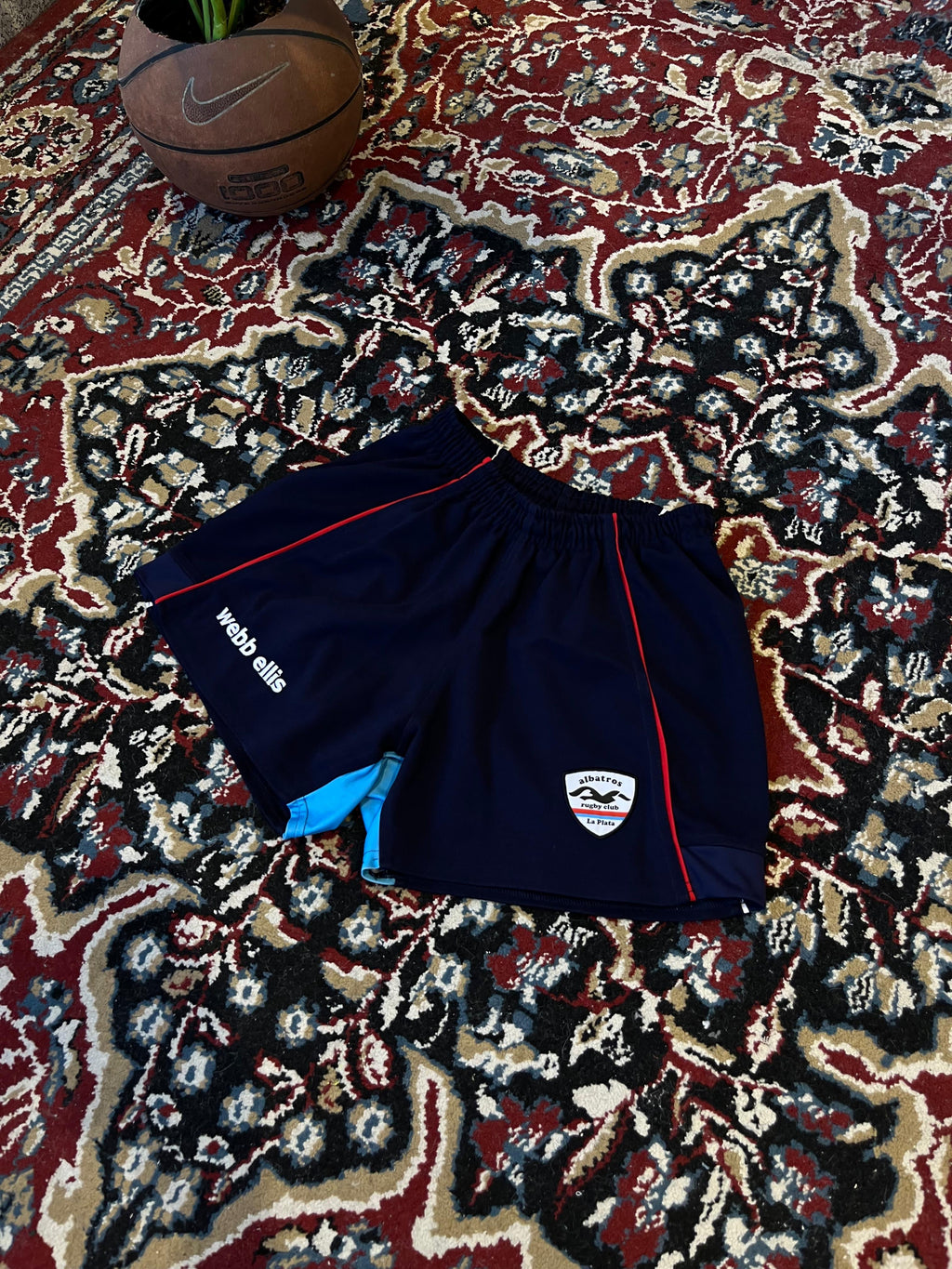 Short Albatros Web Ellis Versión Jugador Original