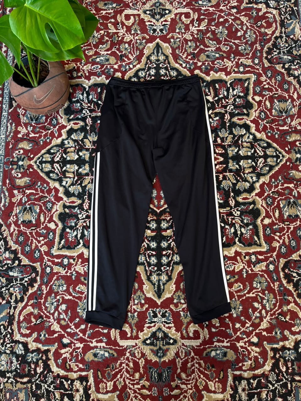 Pantalon Estudiantes Adidas 2013 Original