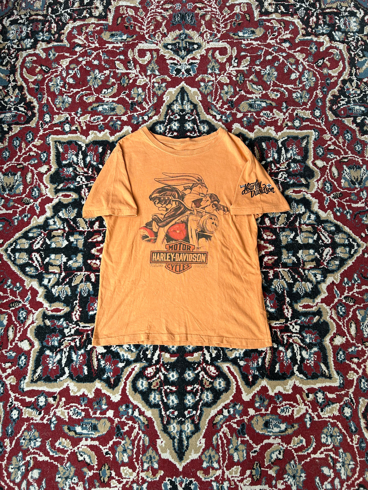 Remera Harley Davidson Vintage