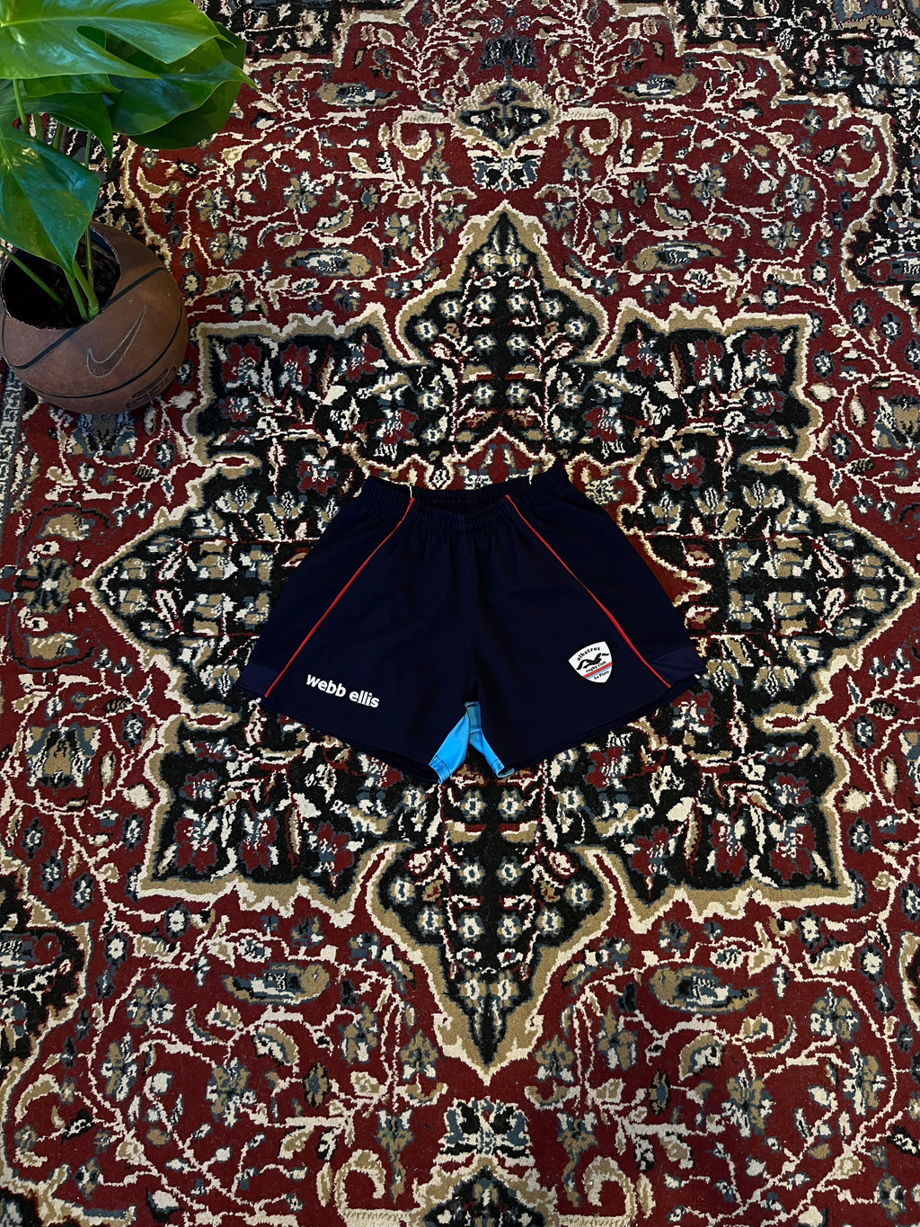 Short Albatros Web Ellis Versión Jugador Original