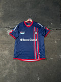 Camiseta San Lorenzo 2014 Alternativa Lotto Original
