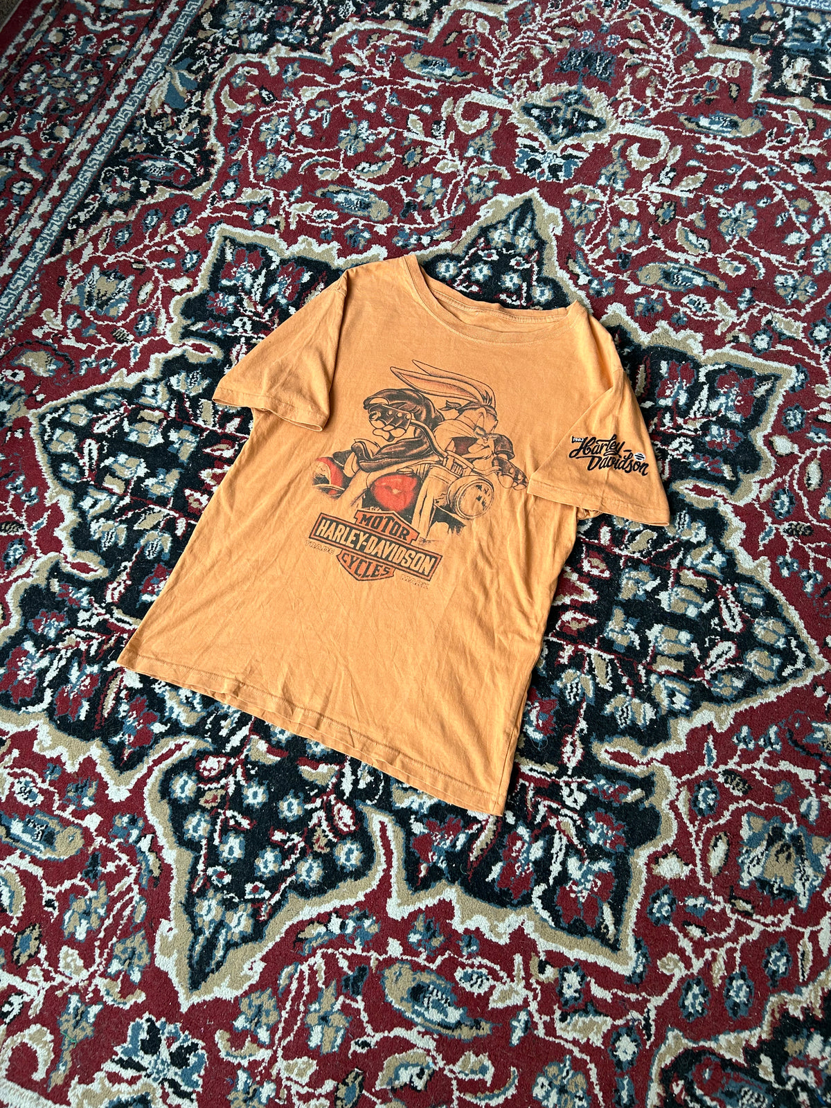 Remera Harley Davidson Vintage